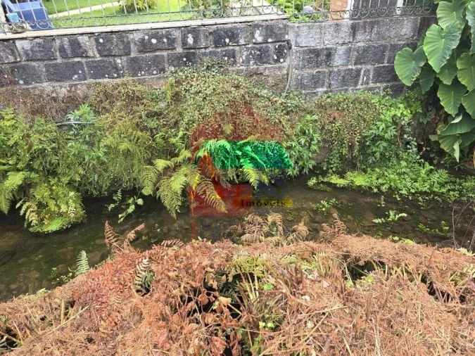 Terreno para Venda em Pico Foto 12