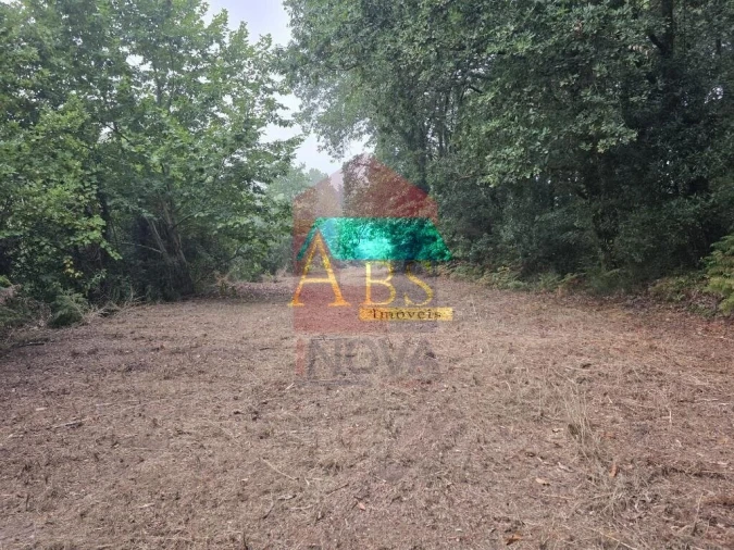 Terreno para Venda em Pico Foto 29