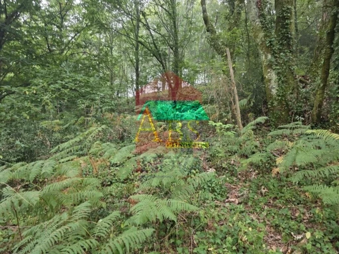 Terreno para Venda em Pico Foto 18