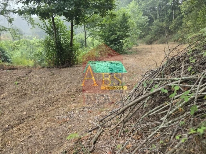 Terreno para Venda em Pico Foto 17