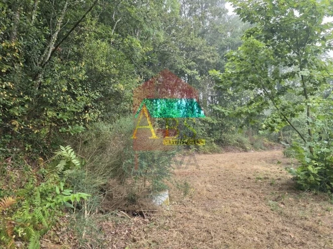 Terreno para Venda em Pico Foto 31