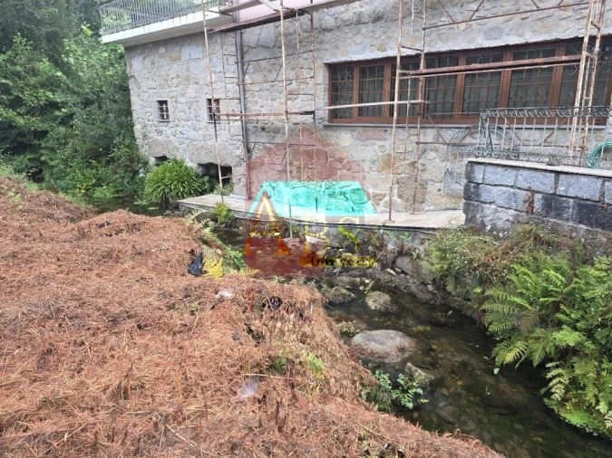 Terreno para Venda em Pico Foto 35