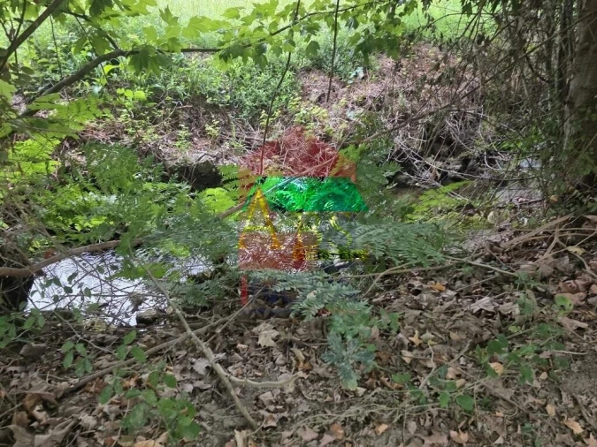 Terreno para Venda em Pico Foto 15