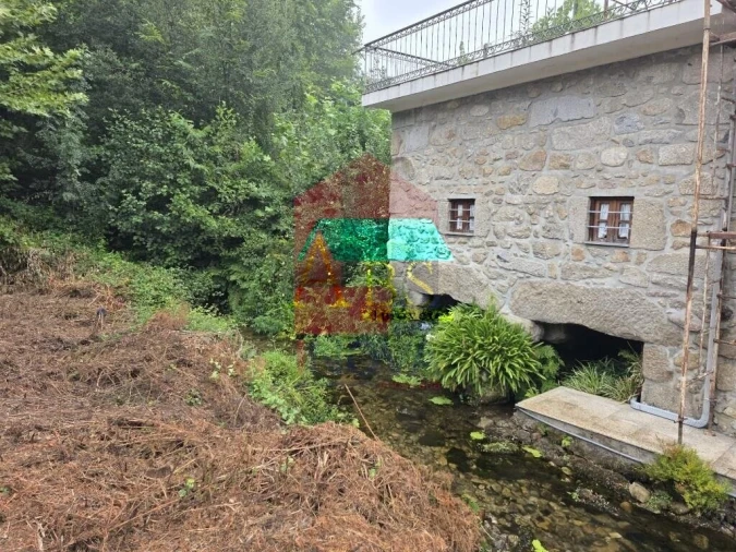 Terreno para Venda em Pico Foto 10