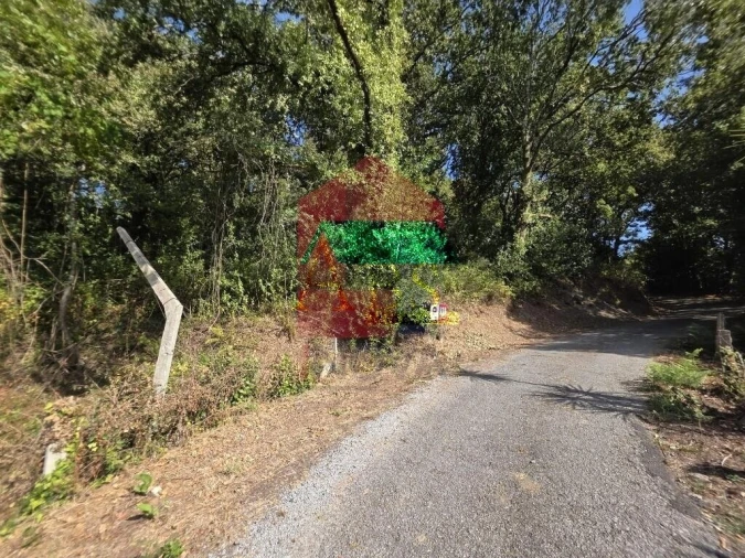 Terreno para Venda em Pico Foto 38