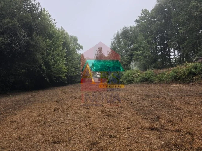 Terreno para Venda em Pico Foto 30