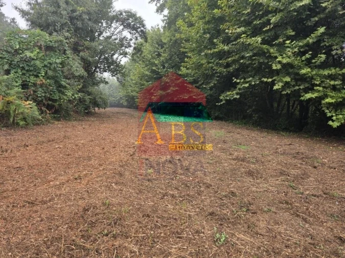 Terreno para Venda em Pico Foto 9