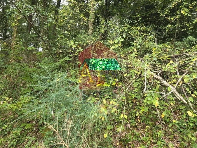Terreno para Venda em Pico Foto 13