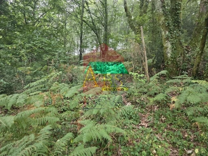 Terreno para Venda em Pico Foto 32