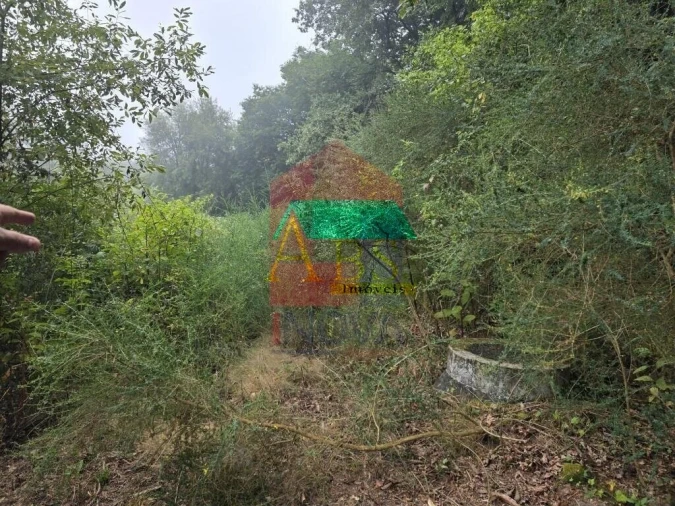 Terreno para Venda em Pico Foto 14