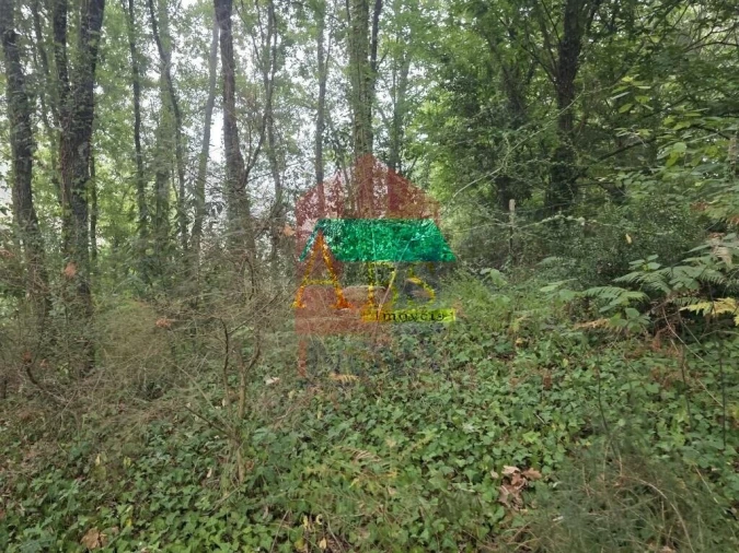 Terreno para Venda em Pico Foto 20