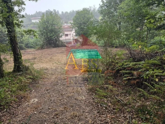 Terreno para Venda em Pico Foto 24
