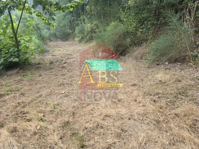 Terreno para Venda em Pico Foto 16