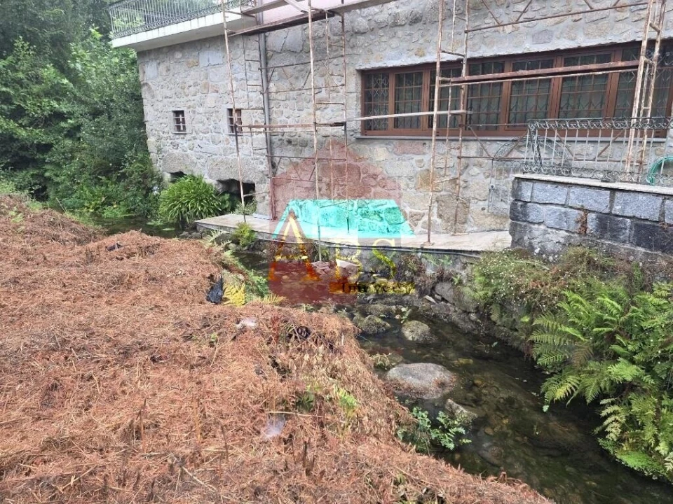 Terreno para Venda em Pico Foto 35