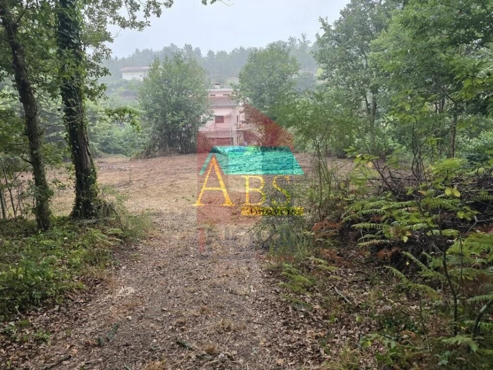 Terreno para Venda em Pico Foto 23