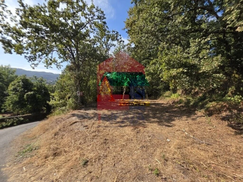 Terreno para Venda em Pico Foto 5