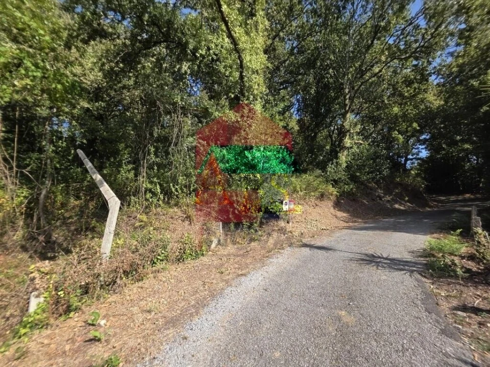 Terreno para Venda em Pico Foto 38