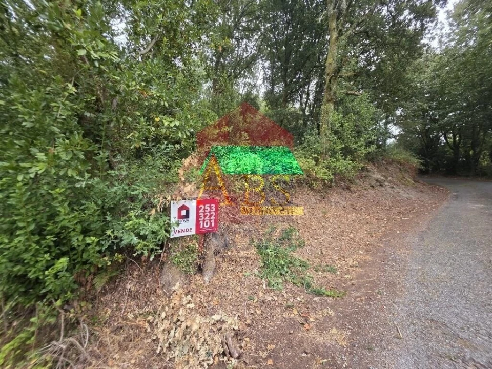Terreno para Venda em Pico Foto 4