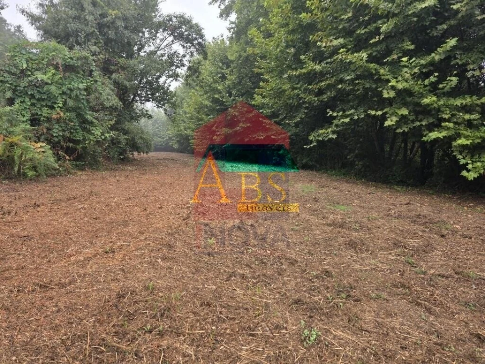 Terreno para Venda em Pico Foto 9