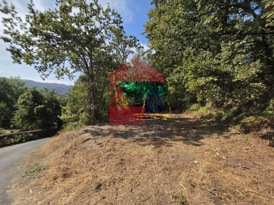 Terreno para Venda em Pico Foto 40