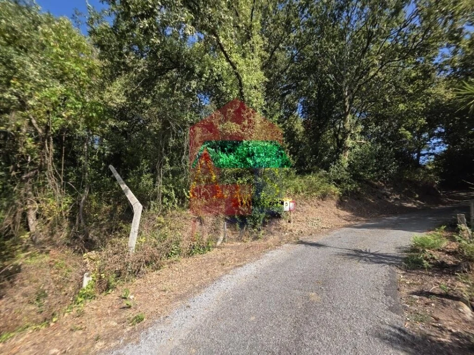 Terreno para Venda em Pico Foto 39