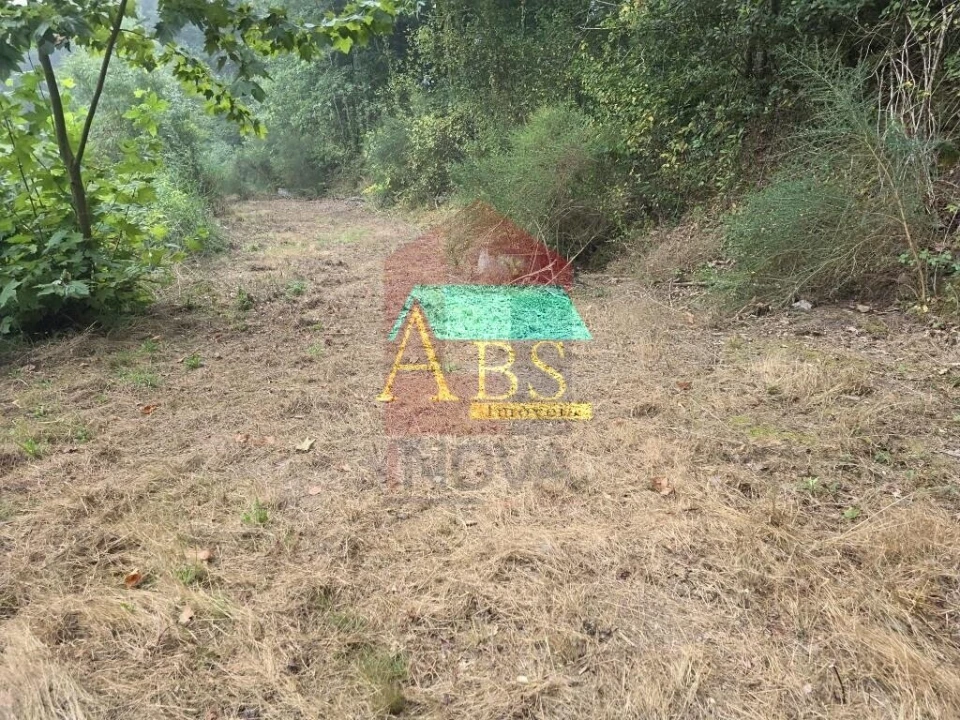 Terreno para Venda em Pico Foto 16