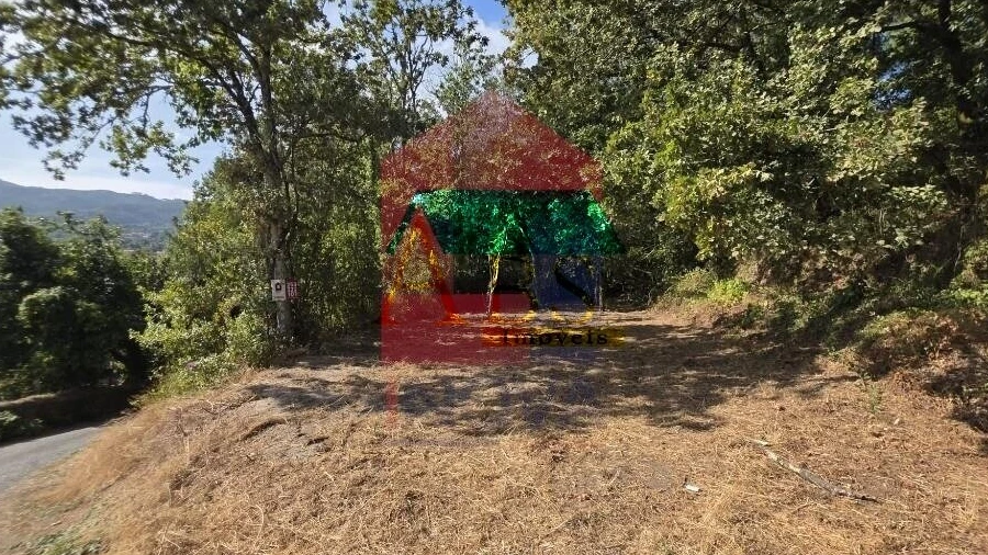 Terreno para Venda em Pico