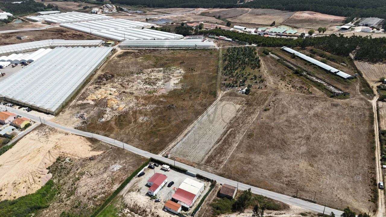 Terreno Comércio / Armazém para Venda em Santa Maria, São Pedro e Matacães Foto 1