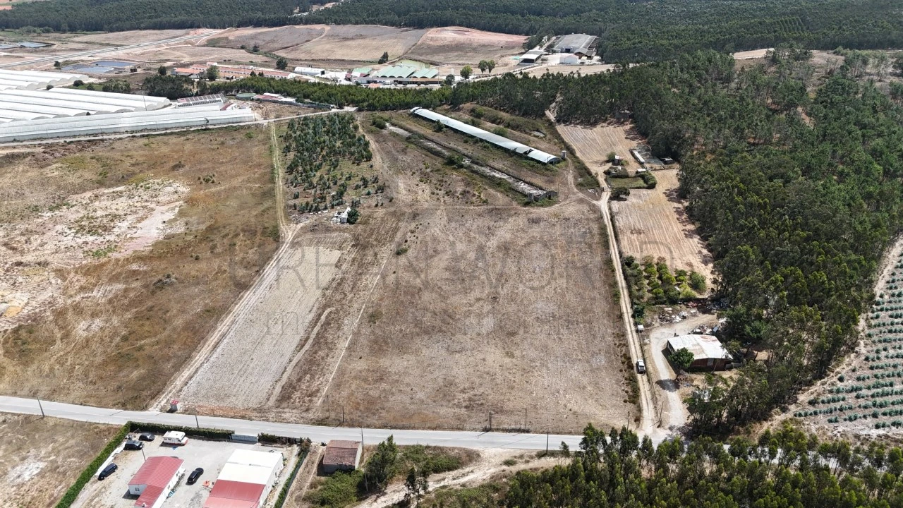 Terreno Comércio / Armazém para Venda em Santa Maria, São Pedro e Matacães Foto 2