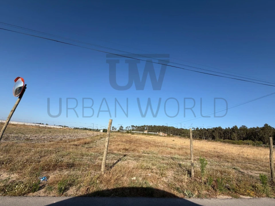 Terreno Comércio / Armazém para Venda em Santa Maria, São Pedro e Matacães Foto 3