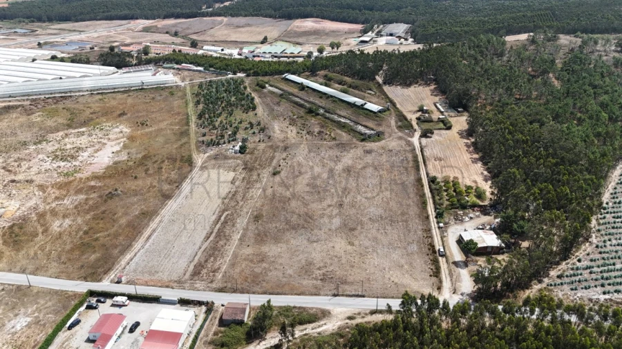 Terreno Comércio / Armazém para Venda em Santa Maria, São Pedro e Matacães Foto 2
