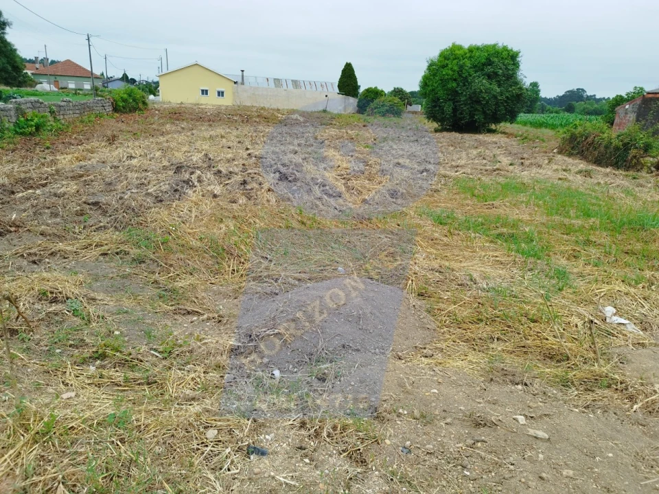 Terreno para Venda em Bustos, Troviscal e Mamarrosa Foto 1