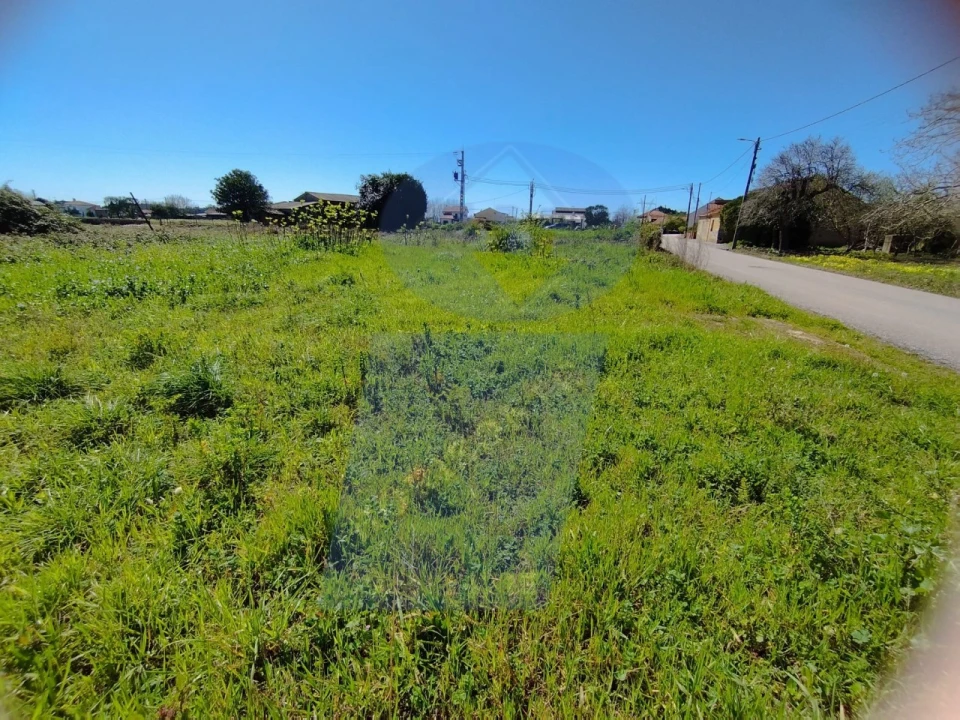 Terreno para Venda em Bustos, Troviscal e Mamarrosa Foto 5