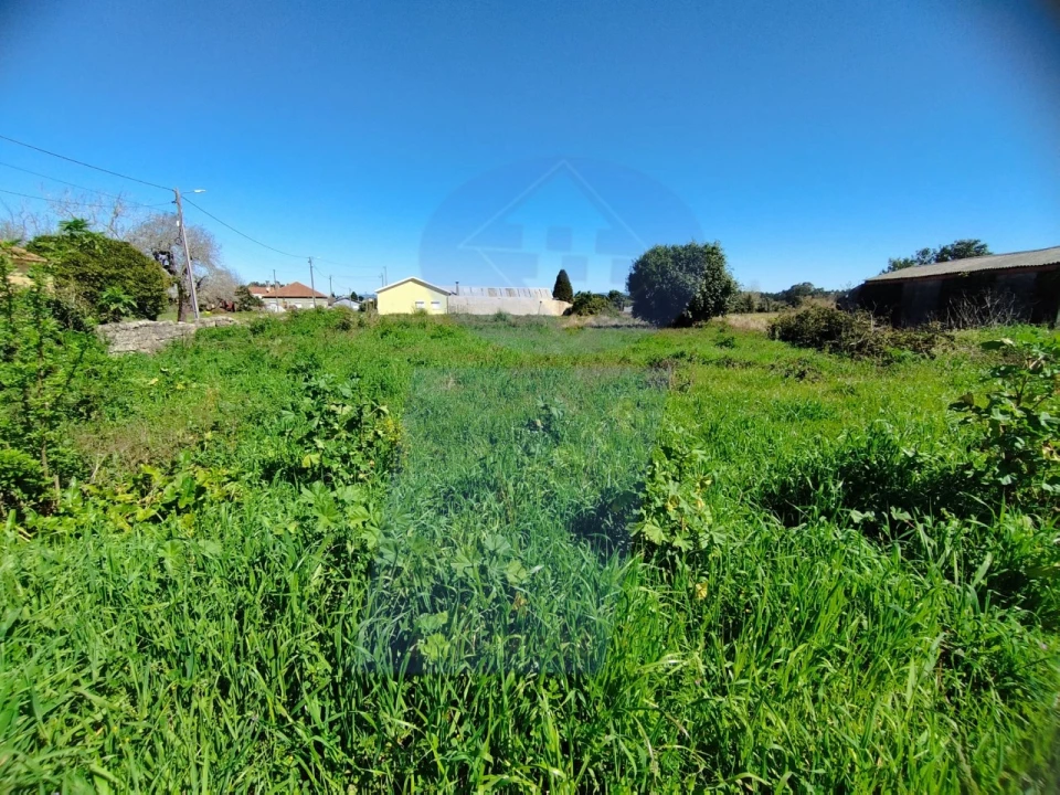 Terreno para Venda em Bustos, Troviscal e Mamarrosa Foto 7