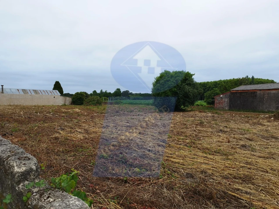 Terreno para Venda em Bustos, Troviscal e Mamarrosa Foto 9
