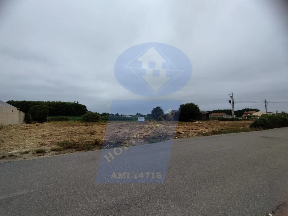 Terreno para Venda em Bustos, Troviscal e Mamarrosa Foto 10
