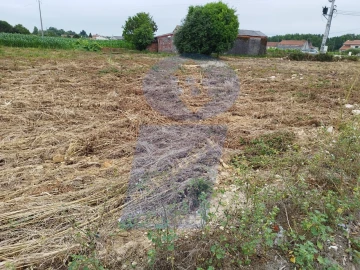 Terreno para Venda em Bustos, Troviscal e Mamarrosa