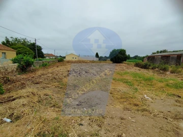 Terreno para Venda em Bustos, Troviscal e Mamarrosa
