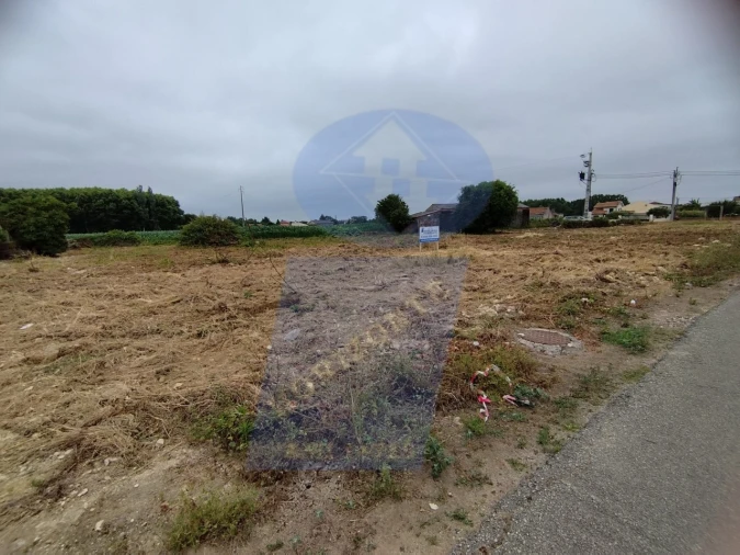 Terreno para Venda em Bustos, Troviscal e Mamarrosa Foto 3