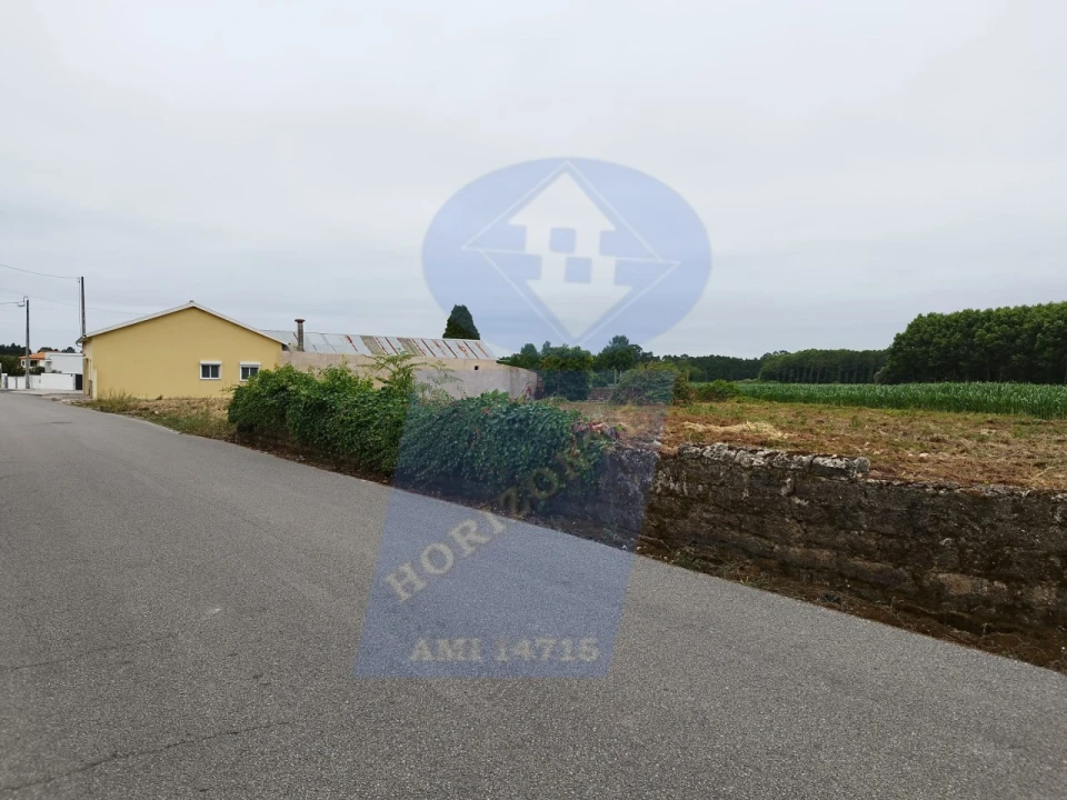 Terreno para Venda em Bustos, Troviscal e Mamarrosa Foto 6