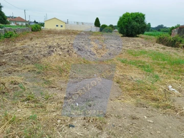 Terreno para Venda em Bustos, Troviscal e Mamarrosa