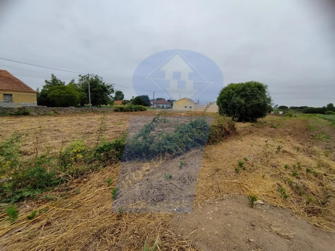 Terreno para Venda em Bustos, Troviscal e Mamarrosa Foto 5