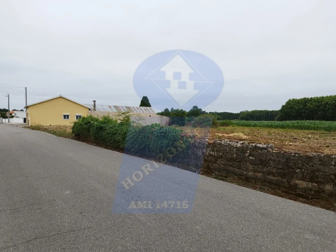 Terreno para Venda em Bustos, Troviscal e Mamarrosa Foto 6