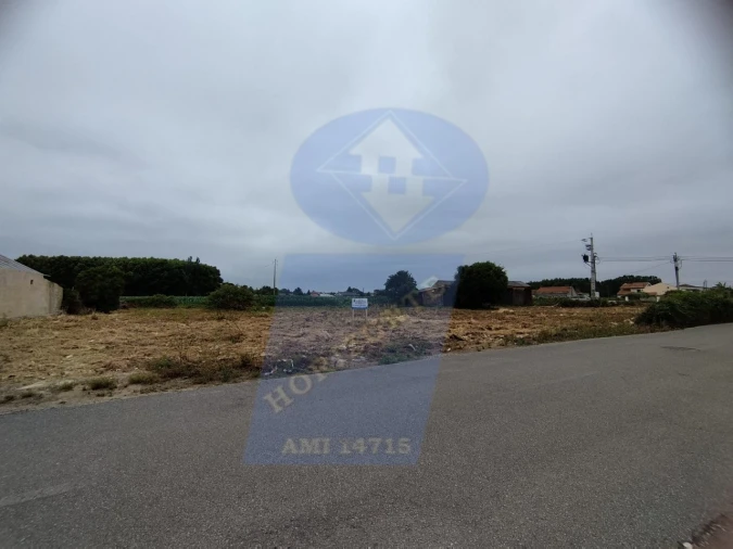 Terreno para Venda em Bustos, Troviscal e Mamarrosa Foto 7