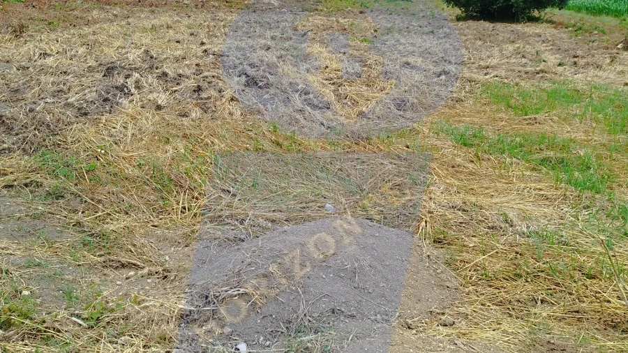 Terreno para Venda em Bustos, Troviscal e Mamarrosa