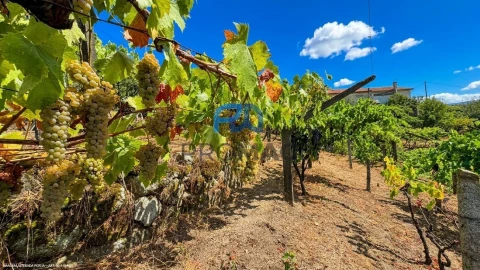Terreno para Venda em Santa Marinha do Zezere