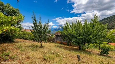 Terreno para Venda em Santa Marinha do Zezere