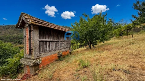 Terreno para Venda em Santa Marinha do Zezere