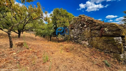 Terreno para Venda em Santa Marinha do Zezere