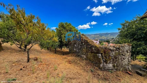 Terreno para Venda em Santa Marinha do Zezere